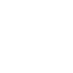 Auto Icon weiß